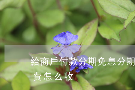 給商戶付款分期免息(分期商戶手續(xù)費怎么收)