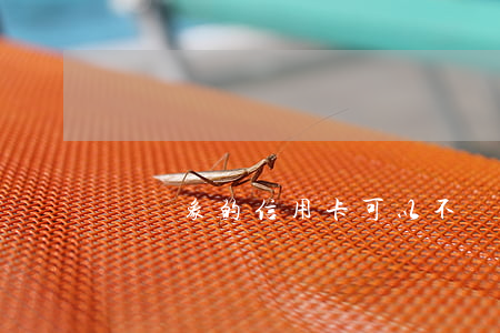 給對象的信用卡可以不還嗎