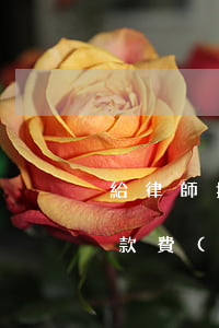 給律師打款費(fèi)用叫什么(給律師打款費(fèi)用叫什么)