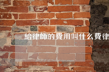 給律師的費用叫什么費(律師費是什么費用)