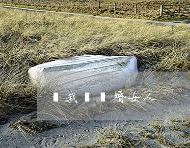 給我換離婚女人
