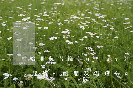 給朋友借錢(qián)之后不回消息怎樣起訴-給朋友借錢(qián)之后不回消息怎樣起訴他