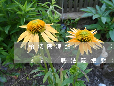 給法院凍結(jié)資金可以存錢(qián)嗎(法院把對(duì)方資金凍結(jié)了,多久能拿到錢(qián))