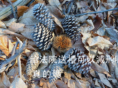 給法院送禮可以減刑嗎(法院要求交錢減刑是真的嗎)