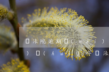 給法院逾期沒(méi)交受理費(fèi)會(huì)咋樣(法院訴訟費(fèi)過(guò)期沒(méi)交怎么辦)