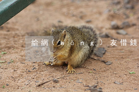 給網(wǎng)友借錢能起訴嗎
