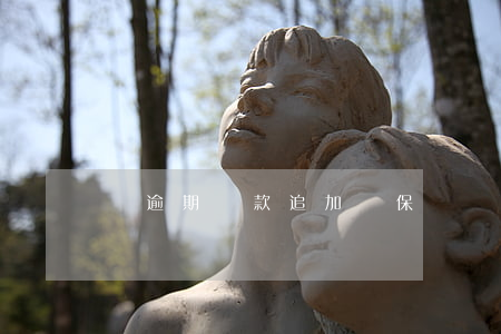 給逾期貸款追加擔保