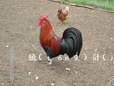 統(tǒng)計(jì)信用卡逾期