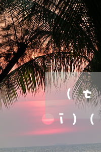 統(tǒng)計人員涉及法律法規(guī)(統(tǒng)計法律法規(guī)有那些)
