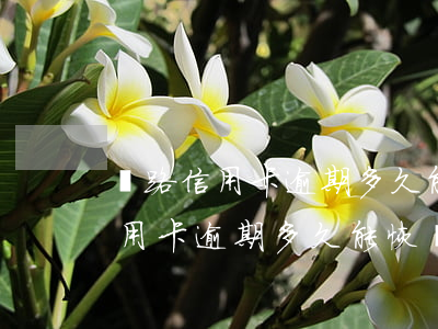 絲路信用卡逾期多久能恢復(fù)(絲路信用卡逾期多久能恢復(fù))