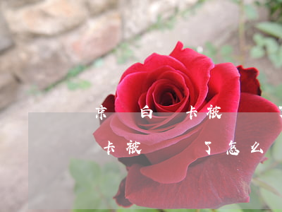 綁京東白條卡被凍結了怎么還款-綁京東白條卡被凍結了怎么還款呢