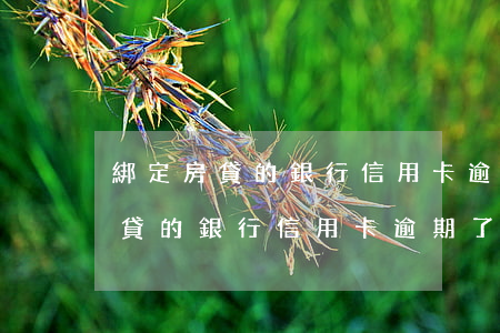 綁定房貸的銀行信用卡逾期了怎么辦（綁定房貸的銀行信用卡逾期了）