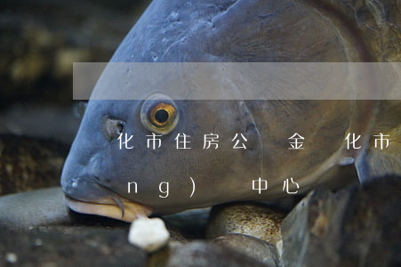 綏化市住房公積金(綏化市住房公積金經(jīng)辦中心)