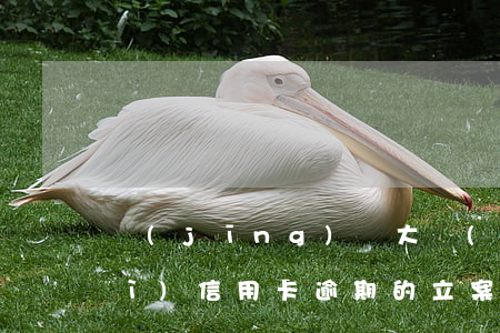 經(jīng)偵大隊(duì)對(duì)信用卡逾期的立案標(biāo)準(zhǔn)-經(jīng)偵大隊(duì)對(duì)信用卡逾期的立案標(biāo)準(zhǔn)是什么