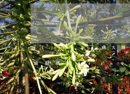 經(jīng)偵大隊(duì)管信用卡逾期嗎（經(jīng)偵大隊(duì)能抓信用卡逾期）