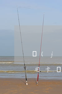 經(jīng)偵找我了解信用卡逾期 欠信用卡會(huì)報(bào)經(jīng)偵嗎