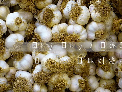 經(jīng)偵抓到信用卡逾期戶 經(jīng)偵抓到信用卡逾期戶