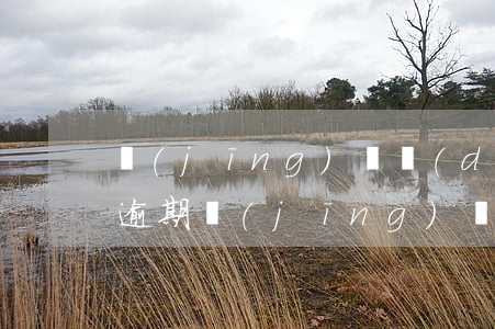 經(jīng)偵調(diào)解信用卡逾期(經(jīng)偵管信用卡逾期嗎)