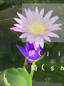 經(jīng)常使用借唄準(zhǔn)時(shí)還款并提前還清-經(jīng)常使用借唄準(zhǔn)時(shí)還款并提前還清會(huì)怎么樣