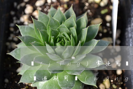 經(jīng)常使用網(wǎng)商貸沒逾期(用網(wǎng)商貸沒逾期會影響征信么)