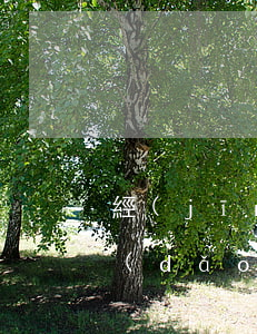 經(jīng)常提前還款會(huì)導(dǎo)致借唄關(guān)閉嗎-經(jīng)常提前還款會(huì)導(dǎo)致借唄關(guān)閉嗎知乎