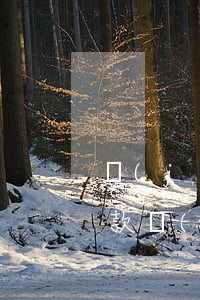 經(jīng)常用借唄按時(shí)還款會(huì)影響征信-經(jīng)常用借唄按時(shí)還款會(huì)影響征信嗎
