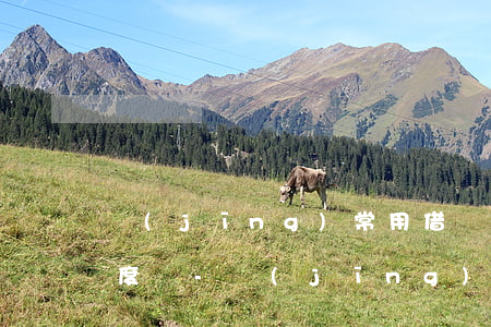 經(jīng)常用借唄按時還款能提升額度嗎-經(jīng)常用借唄按時還款能提升額度嗎安全嗎