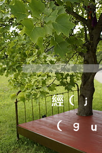 經(jīng)常逾期可以貸款嗎(貸款有過(guò)逾期還能貸款嗎)