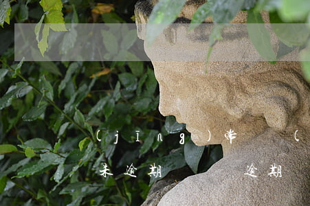 經(jīng)常點網(wǎng)貸但是從未逾期(從來沒逾期為什么網(wǎng)貸過不了)