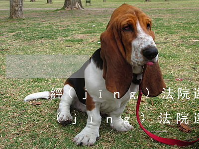 經(jīng)法院逮捕拘留可以保釋嗎(經(jīng)法院逮捕拘留可以保釋嗎)