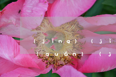 經(jīng)濟(jì)合同糾紛如何維權(quán)(經(jīng)濟(jì)糾紛 如何起訴)