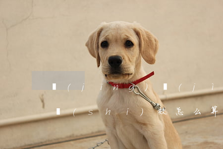 經(jīng)濟(jì)合同糾紛的訴訟時(shí)效怎么算