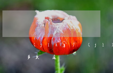 經(jīng)濟(jì)合同糾紛裁定后多久開庭