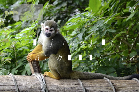 經(jīng)濟(jì)合同違約無(wú)力償還(經(jīng)濟(jì)合同的違約金賠償多少)