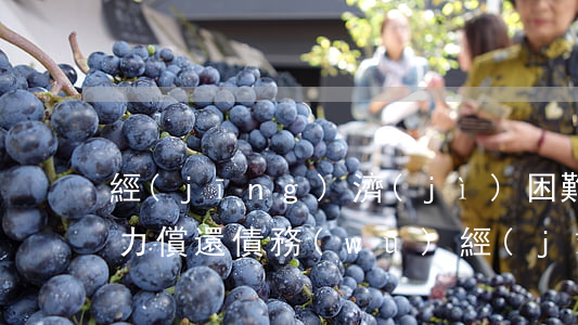 經(jīng)濟(jì)困難無(wú)力償還債務(wù)(經(jīng)濟(jì)困難家庭欠債情況)