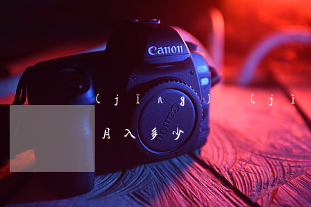 經(jīng)濟(jì)律師收入多少(律師月入多少)