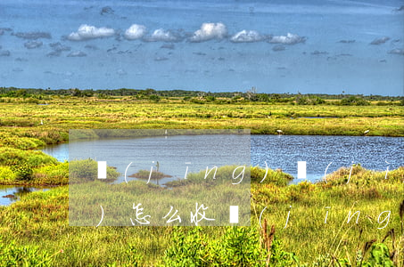 經(jīng)濟(jì)律師費(fèi)怎么收(經(jīng)濟(jì)官司律師費(fèi)用標(biāo)準(zhǔn))