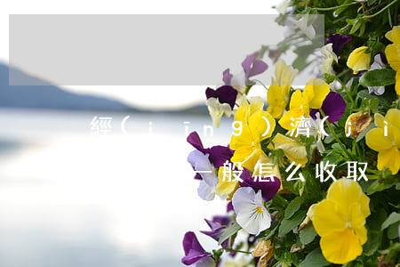 經(jīng)濟(jì)案件律師費(fèi)一般怎么收取