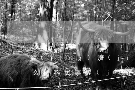 經(jīng)濟(jì)案件起訴需要什么材料(民事經(jīng)濟(jì)糾紛起訴需要什么材料)