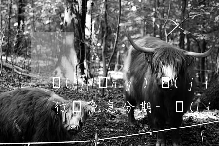 經(jīng)濟(jì)案律師能否到銀行談免息分期-經(jīng)濟(jì)案律師能否到銀行談免息分期業(yè)務(wù)