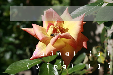 經(jīng)濟(jì)欠錢起訴狀-經(jīng)濟(jì)債務(wù)起訴書范本