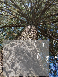經(jīng)濟(jì)法與物流法律法規(guī)(經(jīng)濟(jì)法關(guān)于貨運(yùn)合同的法律規(guī)定)