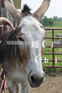 經(jīng)濟(jì)犯罪案件追訴標(biāo)準(zhǔn)(經(jīng)濟(jì)犯罪案件追訴標(biāo)準(zhǔn))