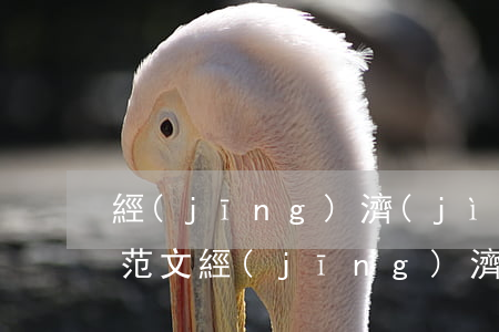 經(jīng)濟(jì)糾紛上訴書格式范文(經(jīng)濟(jì)糾紛上訴書模板)
