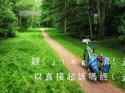 經(jīng)濟(jì)糾紛不請律師可以直接起訴嗎(經(jīng)濟(jì)糾紛起訴必須通過律師事務(wù)所嗎)