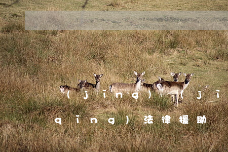 經(jīng)濟(jì)糾紛可以申請(qǐng)法律援助嗎(民事經(jīng)濟(jì)糾紛可以申請(qǐng)法律援助嗎)