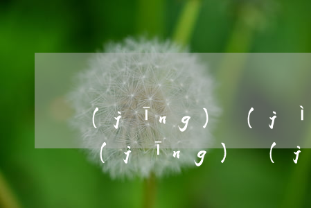 經(jīng)濟(jì)糾紛可以訴訟嗎(經(jīng)濟(jì)糾紛 如何起訴)