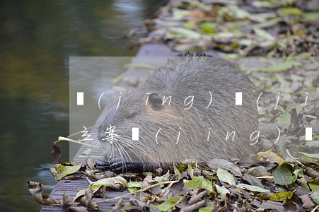 經(jīng)濟(jì)糾紛多少錢可以立案(經(jīng)濟(jì)糾紛案收費(fèi)標(biāo)準(zhǔn)是多少)