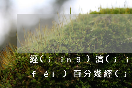 經(jīng)濟(jì)糾紛律師收費(fèi)百分幾(經(jīng)濟(jì)案件律師費(fèi)一般怎么收費(fèi))