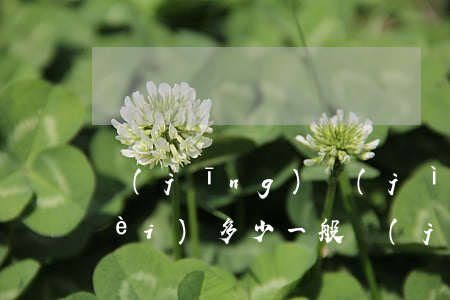 經(jīng)濟(jì)糾紛律師費(fèi)多少(一般經(jīng)濟(jì)糾紛律師費(fèi)是多少)